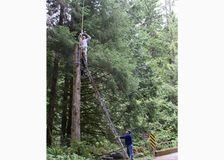 Washington: Watershed Turbidity Monitoring image 10