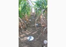 France: Studying Crop Yields image 1