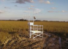 Florida: Protecting an Endangered Species’ Habitat image 3