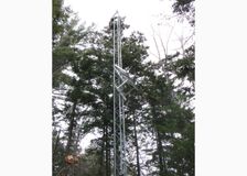 New Hampshire: Webcams in Forest image 4