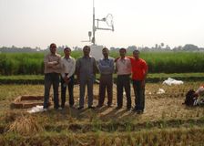 India: Rice-Field Greenhouse Gases image 1