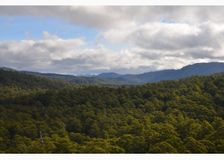 Australia: Ecological Research image 3