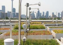 Ontario: Green Roofs image 1