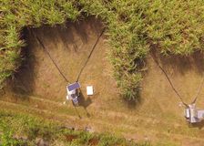 Australia: Sugarcane Soil Nutrient Monitoring image 1