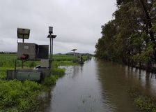 Australia: Sugarcane Soil Nutrient Monitoring image 3