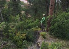 Wyoming: Landslide Warning image 4