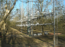 California: Turbulence Study in Walnut Orchard image 4