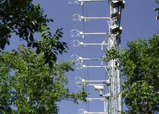 California: Turbulence Study in Walnut Orchard image 3