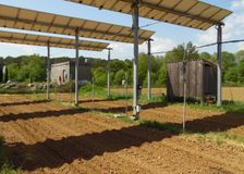 France: Dynamic Agrivoltaism image 2