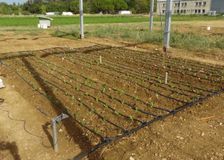France: Dynamic Agrivoltaism image 3