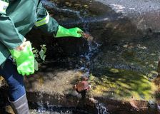 South Africa: Transforming a Polluted River image 1