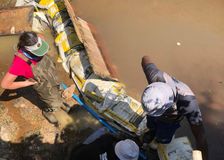 South Africa: Transforming a Polluted River image 6