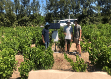 South Africa: Sustainable Solutions for Farms image 2