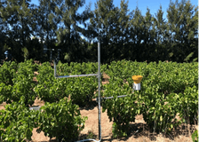 South Africa: Sustainable Solutions for Farms image 3