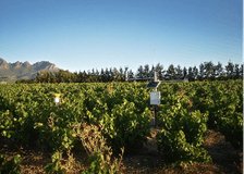South Africa: Sustainable Solutions for Farms image 4