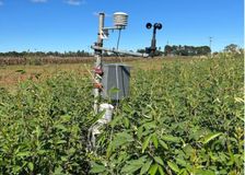 South Africa: Cross-Campus Microclimate Mapping image 3