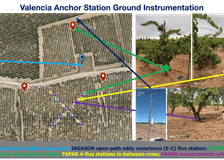 Spain: Strengthening Satellite Validation and Carbon Flux Research image 2