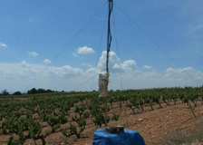Spain: Strengthening Satellite Validation and Carbon Flux Research image 3