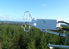 British Columbia: Forest Carbon Sequestration image 3