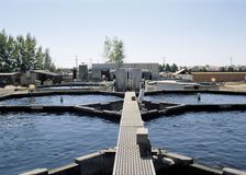 California: Monitoring Water Quality at a Recirculating Aquaculture Facility image 3