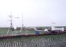 Korea: Flux Monitoring over a Rice Paddy image 1