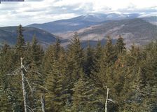 New Hampshire: Webcams in Forest image 1