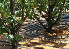 Spain: Irrigation and Solar Radiation image 2