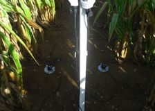 France: Studying Crop Yields image 5