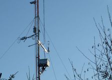 British Columbia: Forest Carbon Sequestration image 1