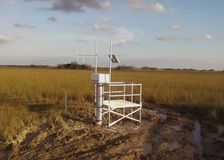 Florida: Protecting an Endangered Species’ Habitat image 3