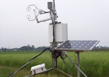 India: Rice-Field Greenhouse Gases image 4