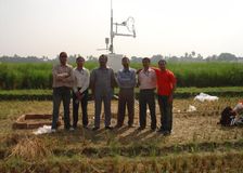 India: Rice-Field Greenhouse Gases image 1