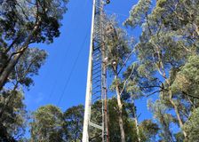 Australia: Ecological Research image 1