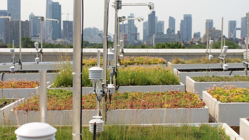 Ontario: Green Roofs