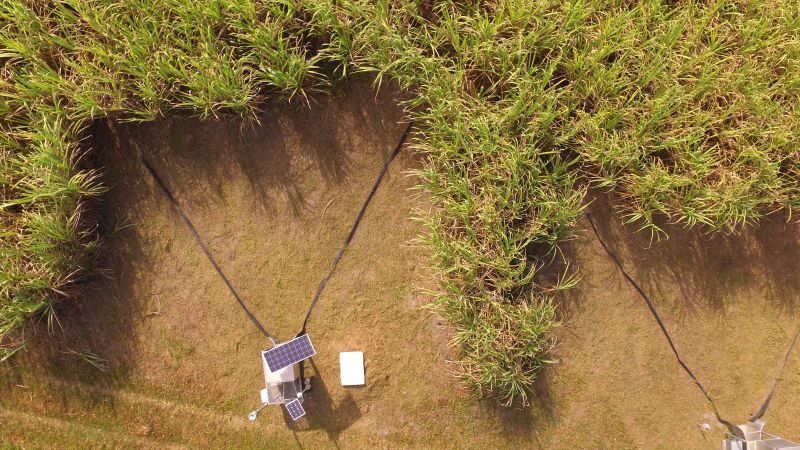 Australia: Sugarcane Soil Nutrient Monitoring