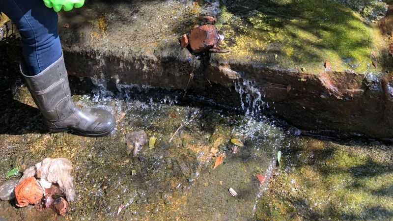 South Africa: Transforming a Polluted River