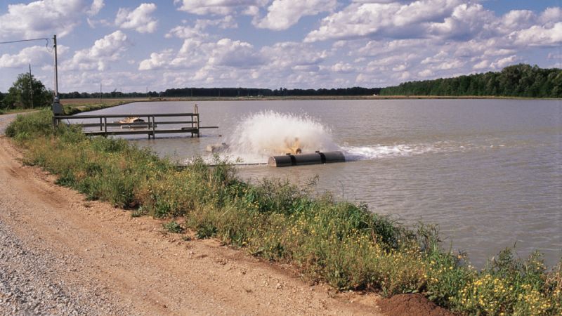 Mississippi: Dissolved Oxygen Monitoring and Control