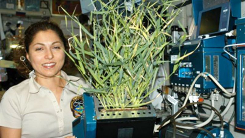 Space Research: Joint Damping Experiment