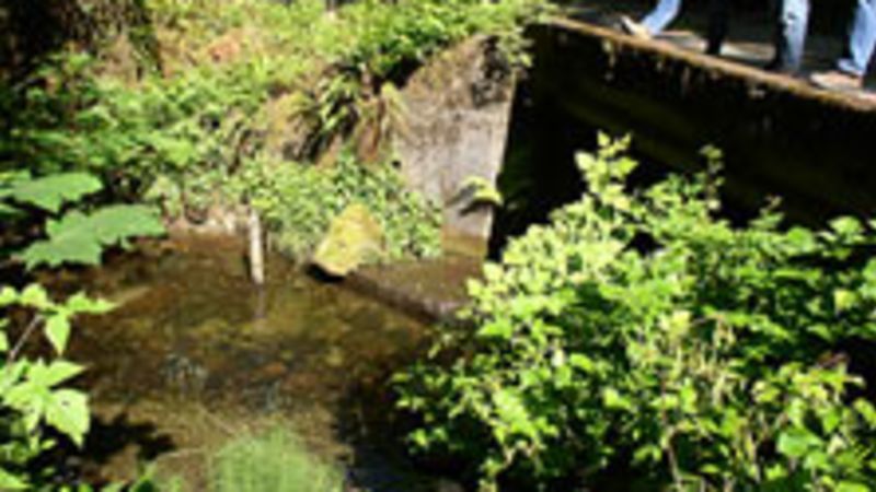 Washington: Watershed Turbidity Monitoring