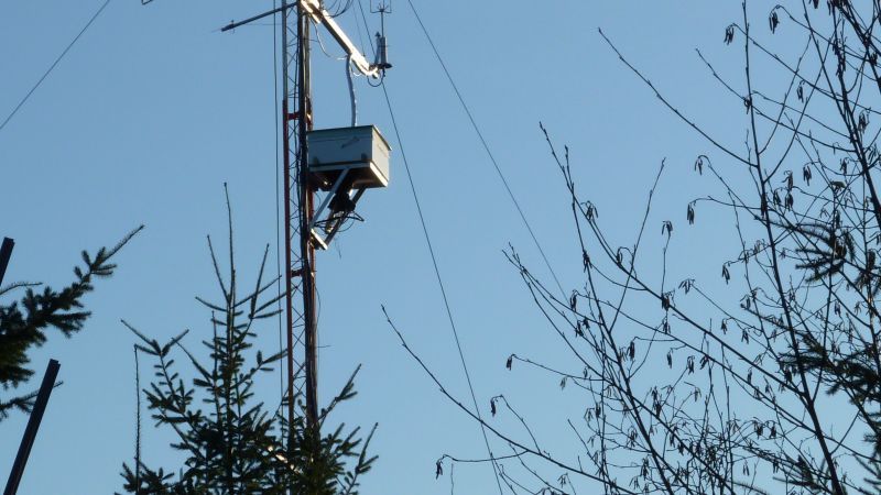 British Columbia: Forest Carbon Sequestration