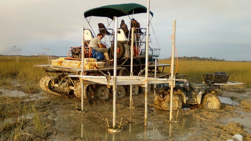 Florida: Protecting an Endangered Species’ Habitat