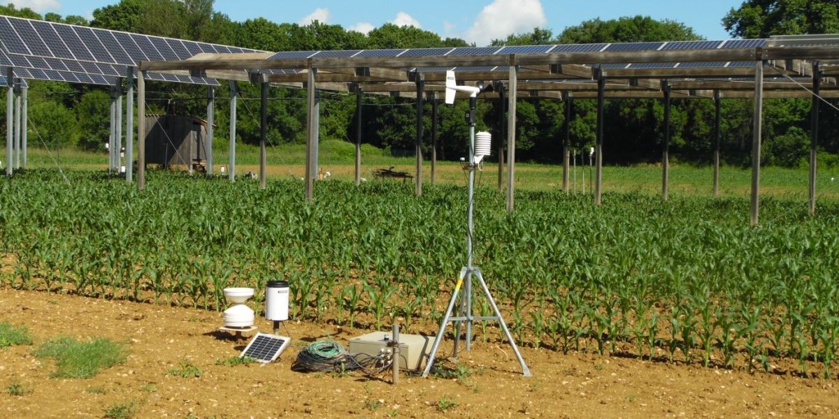 France: Dynamic Agrivoltaism