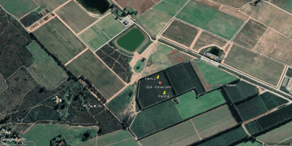South Africa: Sustainable Solutions for Farms