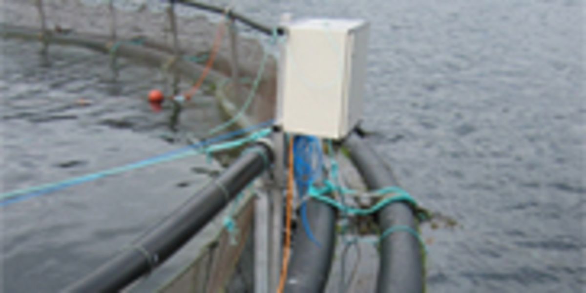 Norway: Construction and Aquaculture Projects